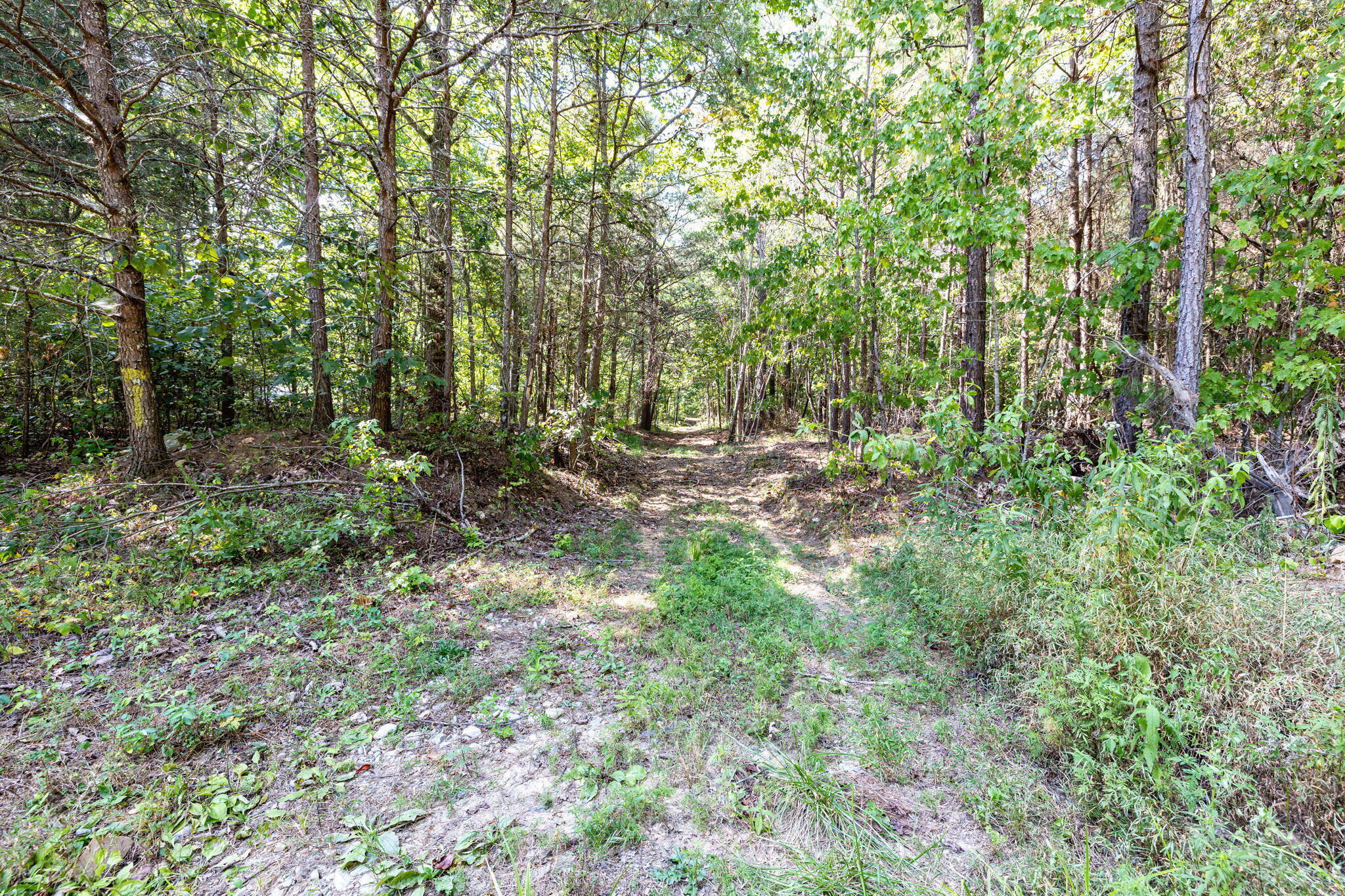 11103 Worley Road, Soddy Daisy, Tennessee image 2