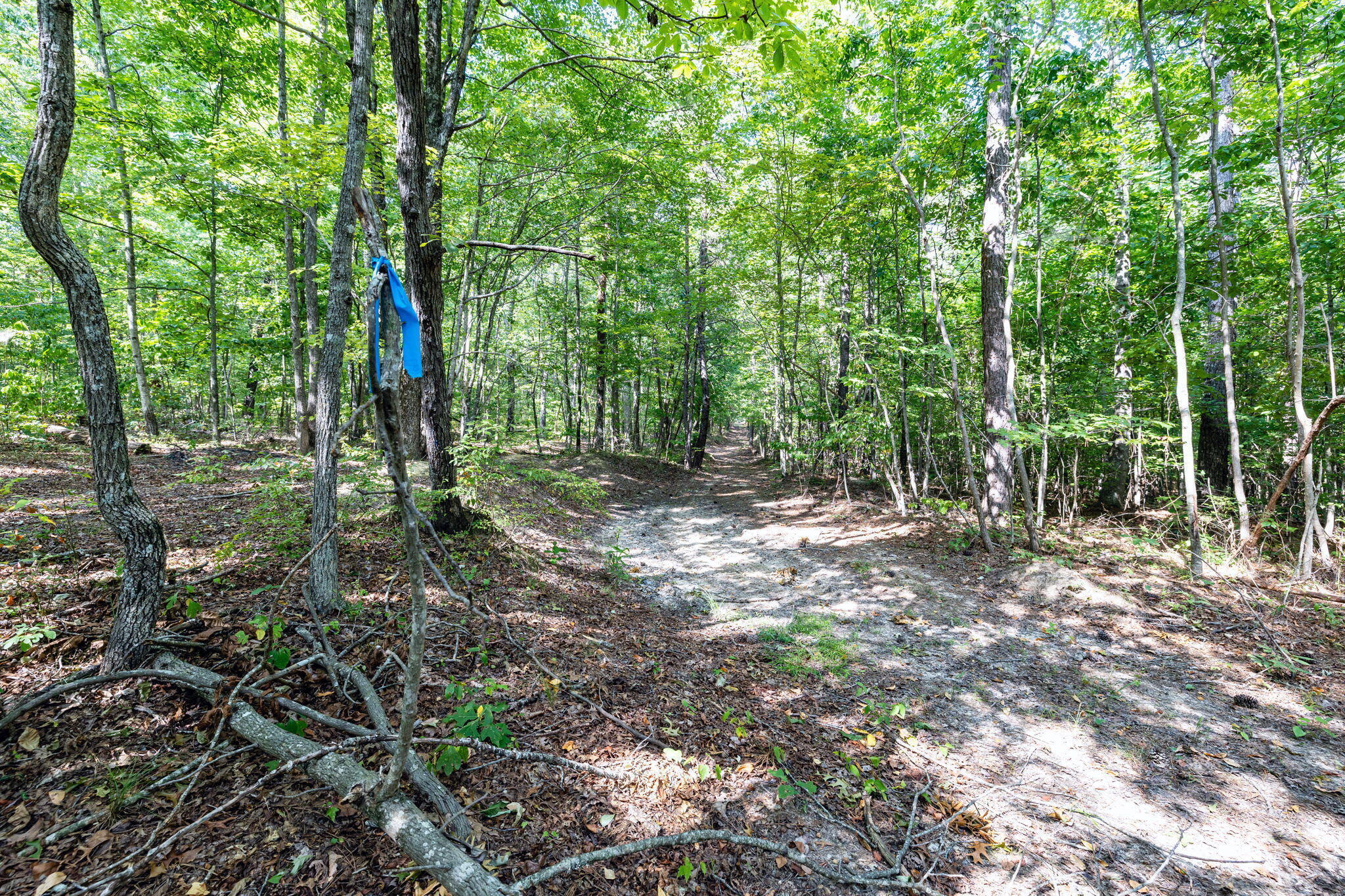 11103 Worley Road, Soddy Daisy, Tennessee image 4