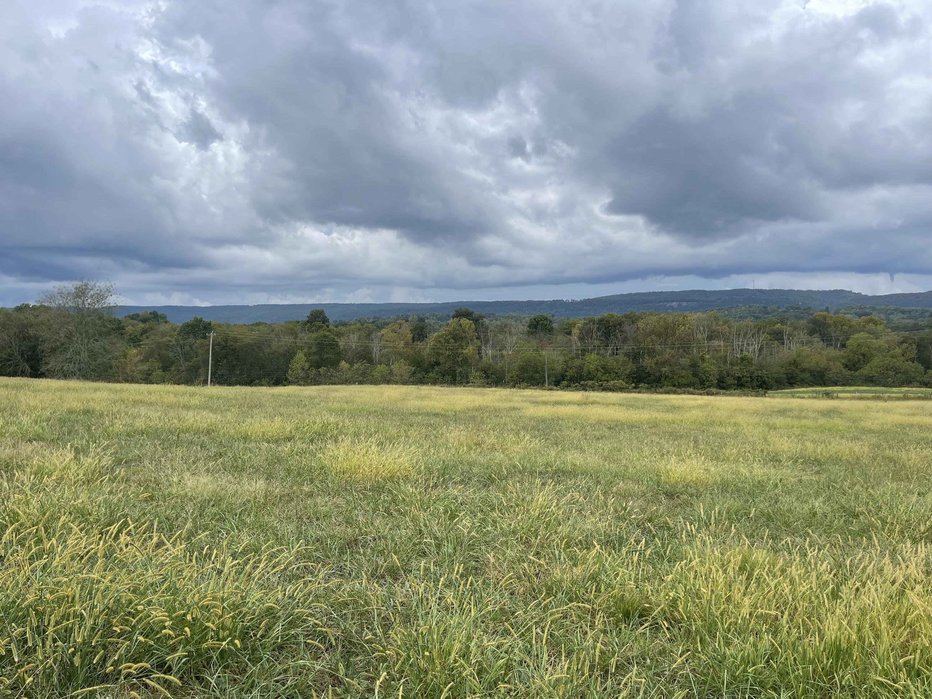 013 Upper East Valley Road, Pikeville, Tennessee image 3