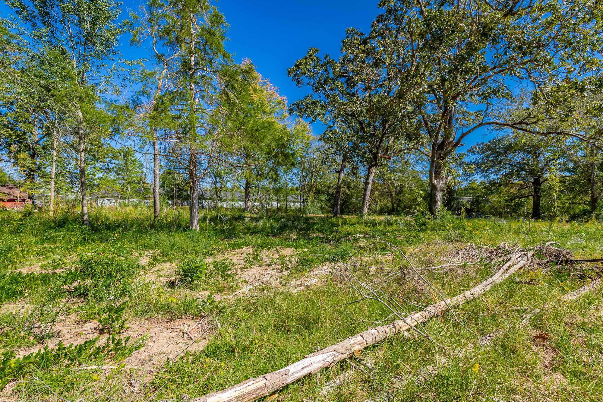 929 Horne Road, Hixson, Tennessee image 10
