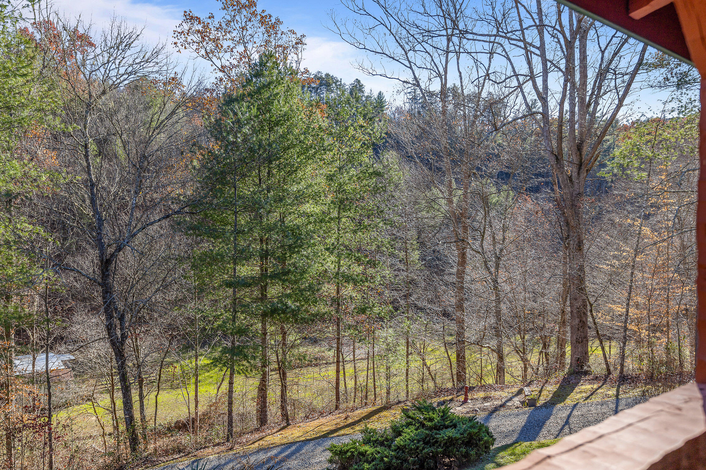 310 Rural Vale Road, Tellico Plains, Tennessee image 9