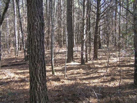Tiny photo for 151c Indian Trails Drive, Spencer, TN 38585 (MLS # 1528150)