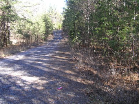 Tiny photo for 151c Indian Trails Drive, Spencer, TN 38585 (MLS # 1528150)