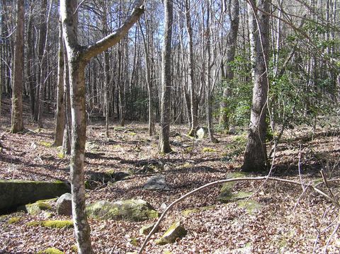 Photo of 151c Indian Trails Drive, Spencer, TN 38585 (MLS # 1528150)