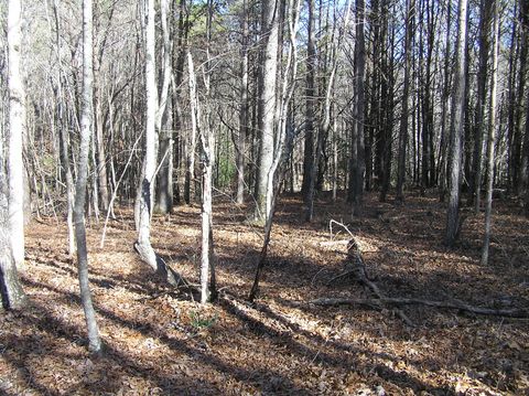 Tiny photo for 151c Indian Trails Drive, Spencer, TN 38585 (MLS # 1528150)