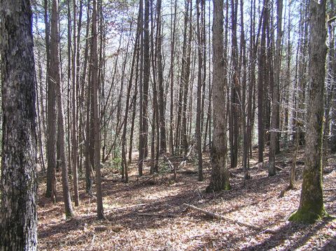 Tiny photo for 151c Indian Trails Drive, Spencer, TN 38585 (MLS # 1528150)