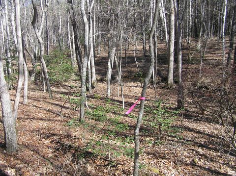 Tiny photo for 151c Indian Trails Drive, Spencer, TN 38585 (MLS # 1528150)