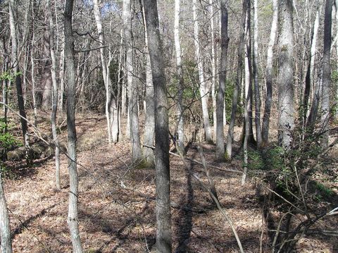 Tiny photo for 151c Indian Trails Drive, Spencer, TN 38585 (MLS # 1528150)