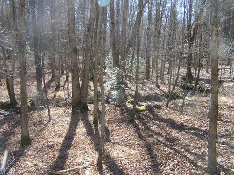 Tiny photo for 151c Indian Trails Drive, Spencer, TN 38585 (MLS # 1528150)