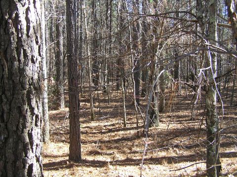 Tiny photo for 151c Indian Trails Drive, Spencer, TN 38585 (MLS # 1528150)