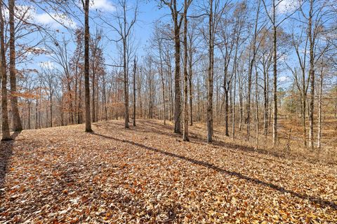 Tiny photo for 159 Litchfield Lane, Cleveland, TN 37312 (MLS # 1527356)