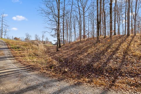 Tiny photo for 159 Litchfield Lane, Cleveland, TN 37312 (MLS # 1527356)