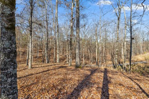 Tiny photo for 159 Litchfield Lane, Cleveland, TN 37312 (MLS # 1527356)