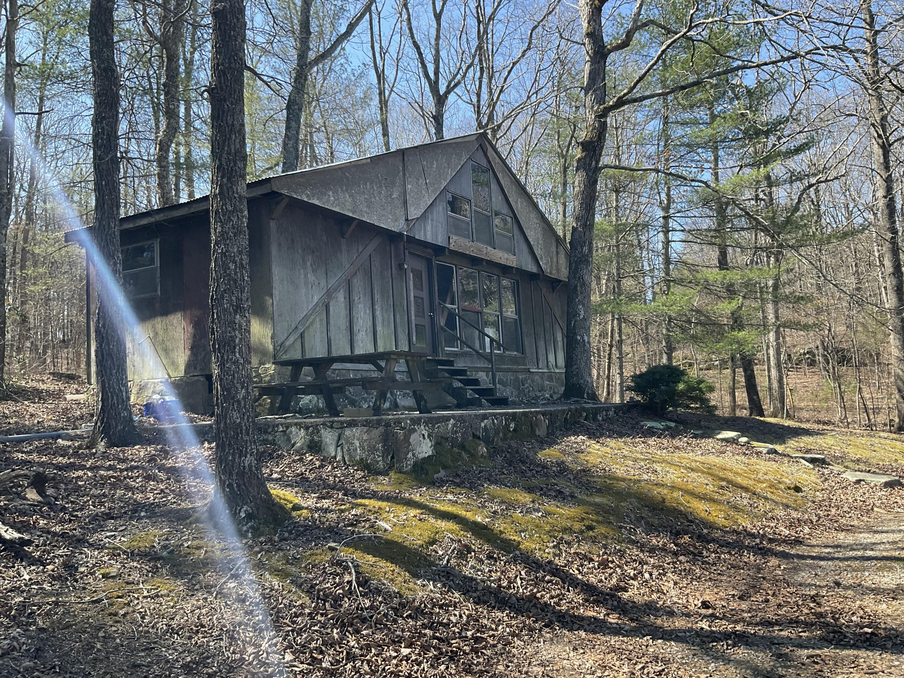 137 Ga-157, Menlo, Georgia image 1