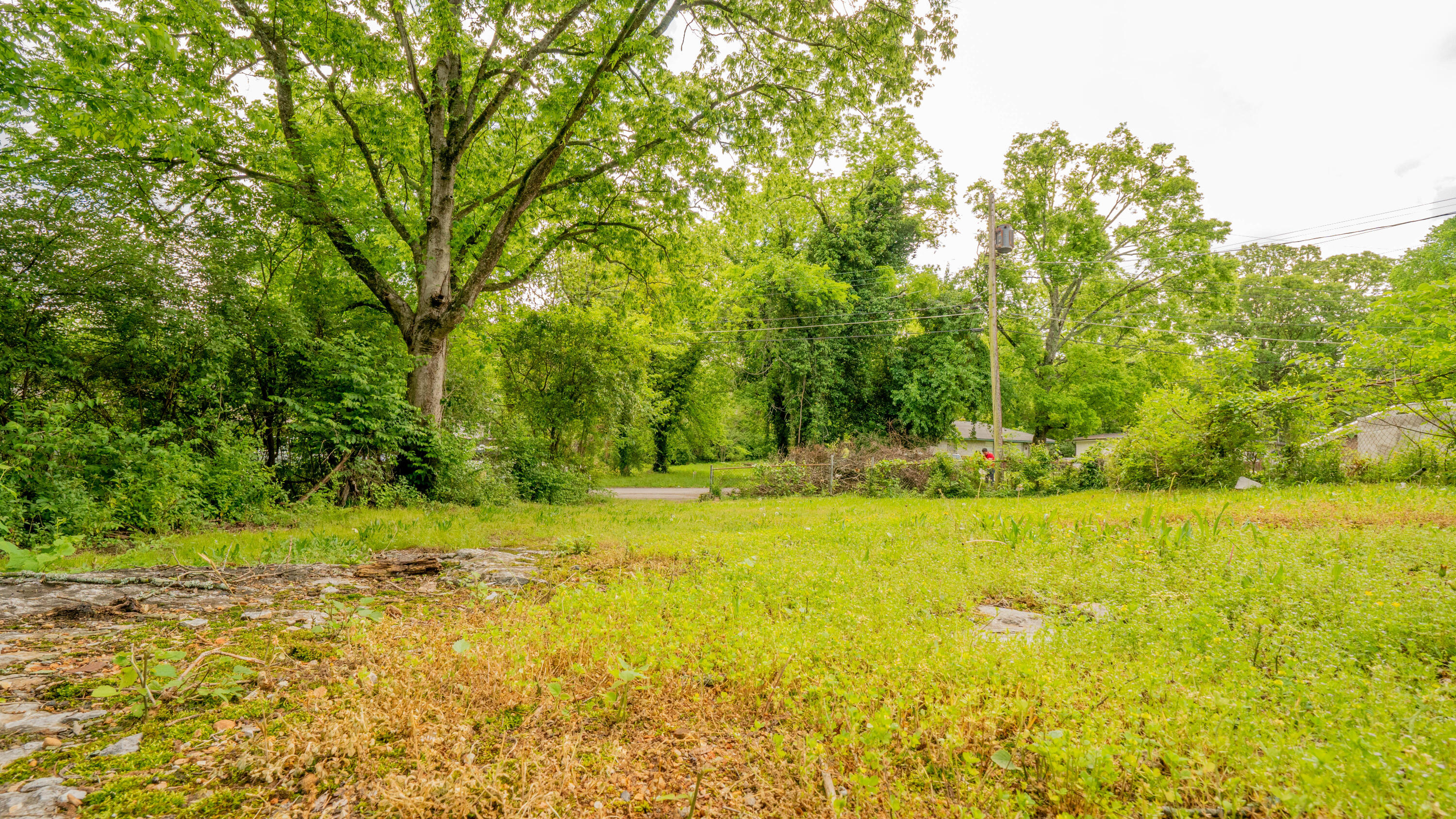 1811 Taylor Street, Chattanooga, Tennessee image 10