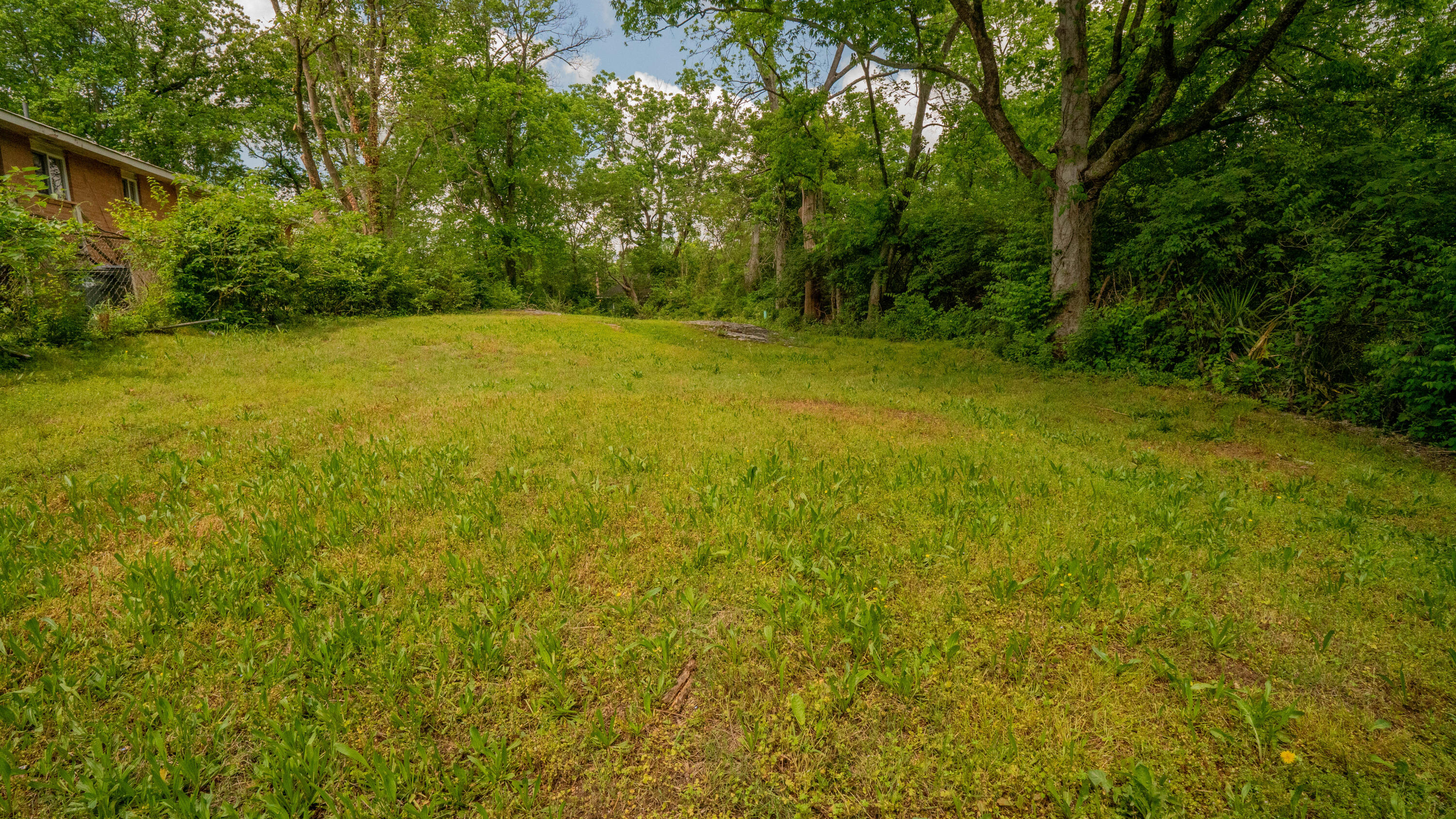 1811 Taylor Street, Chattanooga, Tennessee image 3