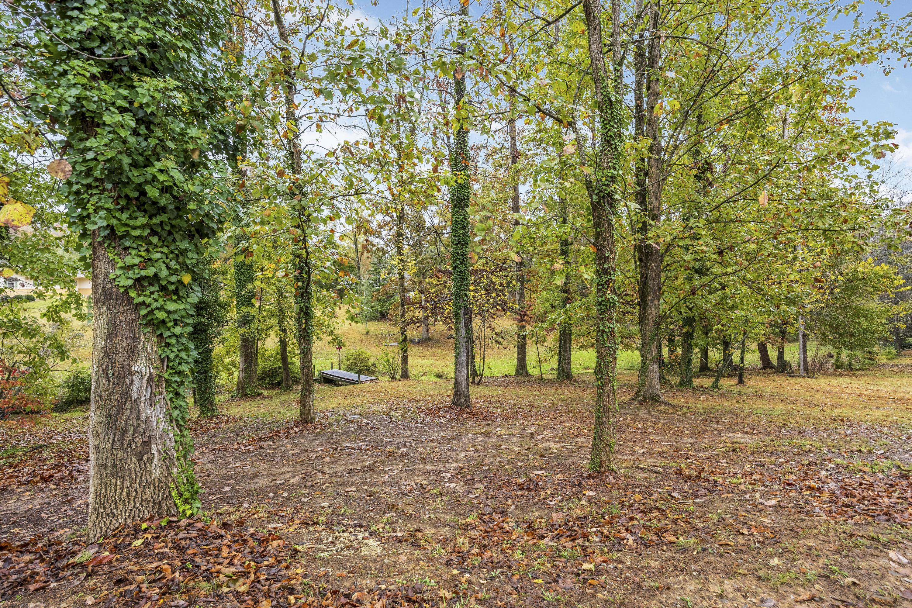 Trenton, Georgia 30752, United States, 4 Bedrooms Bedrooms, ,3 BathroomsBathrooms,Residential,Active,236050