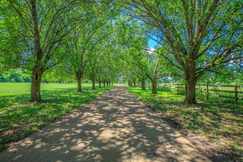 Photo of 7902 Ooltewah Georgetown Road, Ooltewah, TN 37363 (MLS # 1513266)