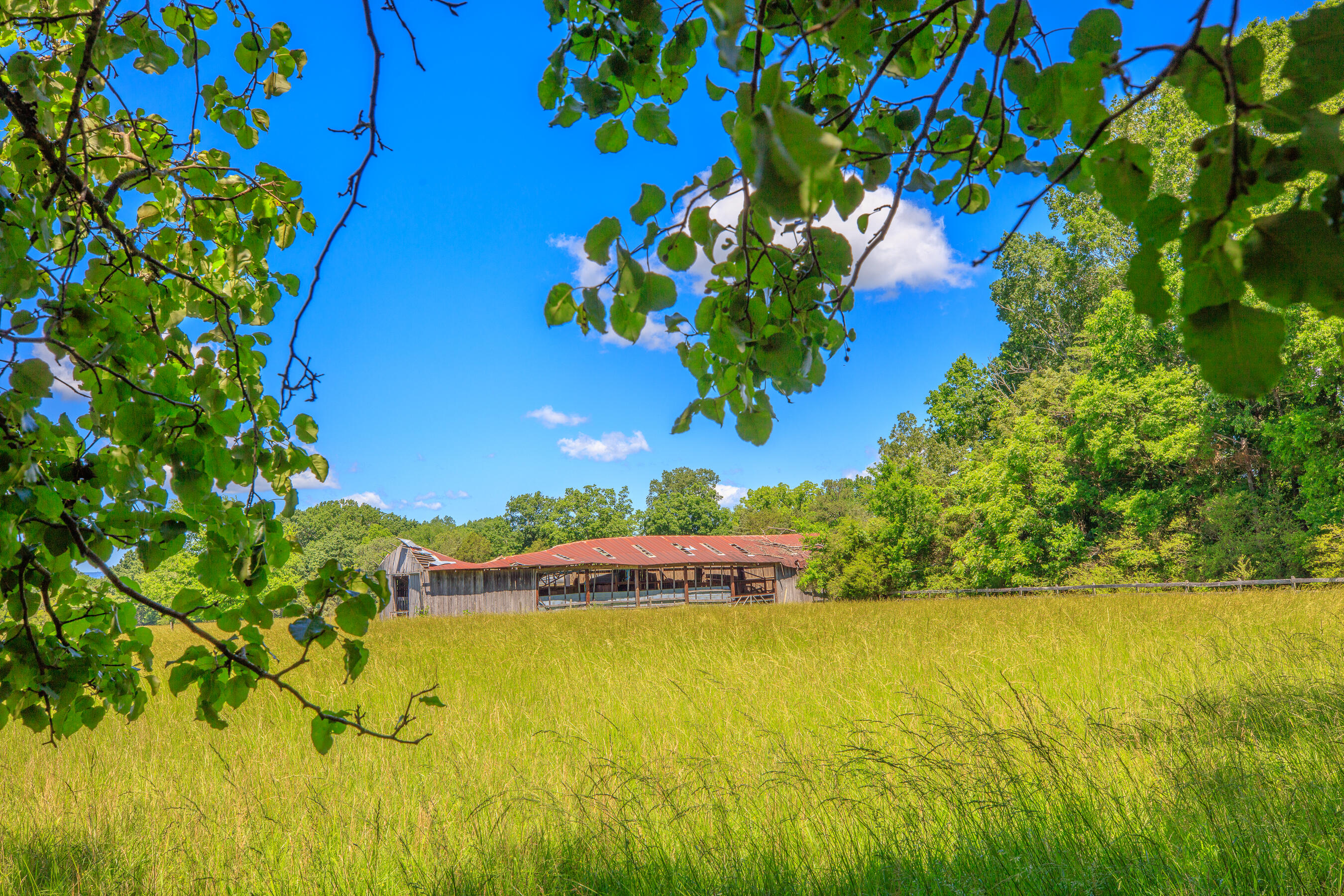 7902 Ooltewah Georgetown Road, Ooltewah, Tennessee image 49