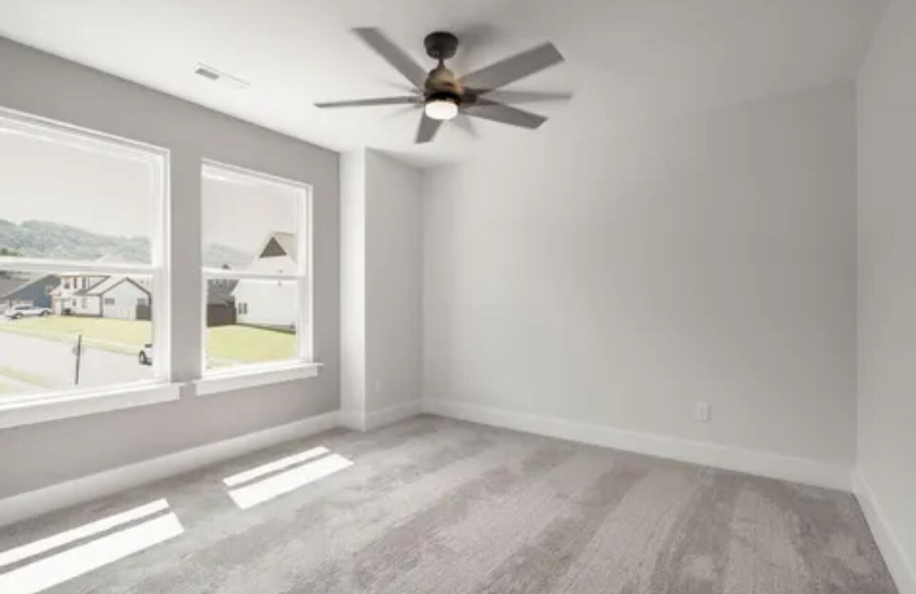 4321 Brush Creek Court, Apison, Tennessee image 33