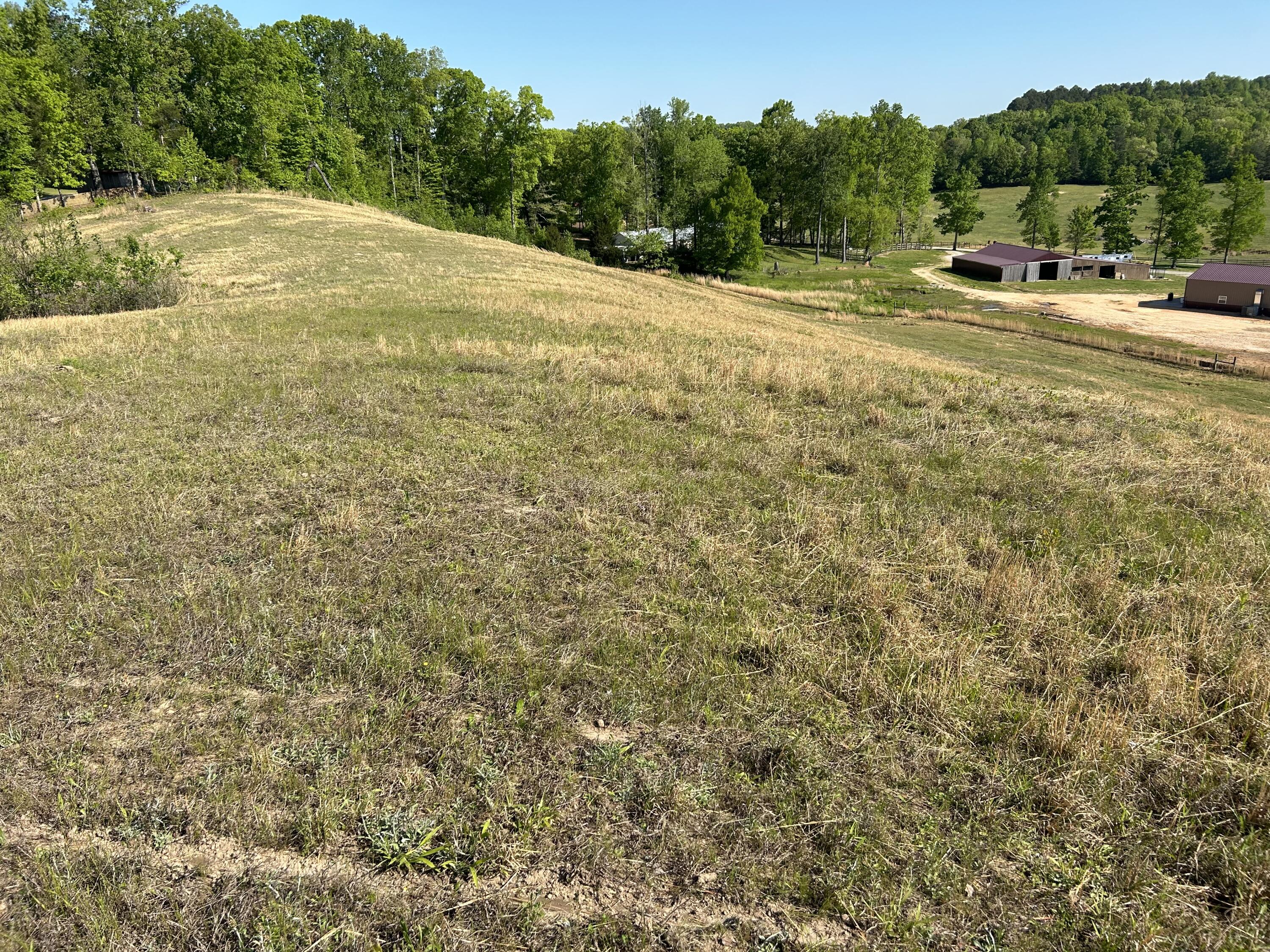 Tucker Road, Bath Springs, Tennessee image 8