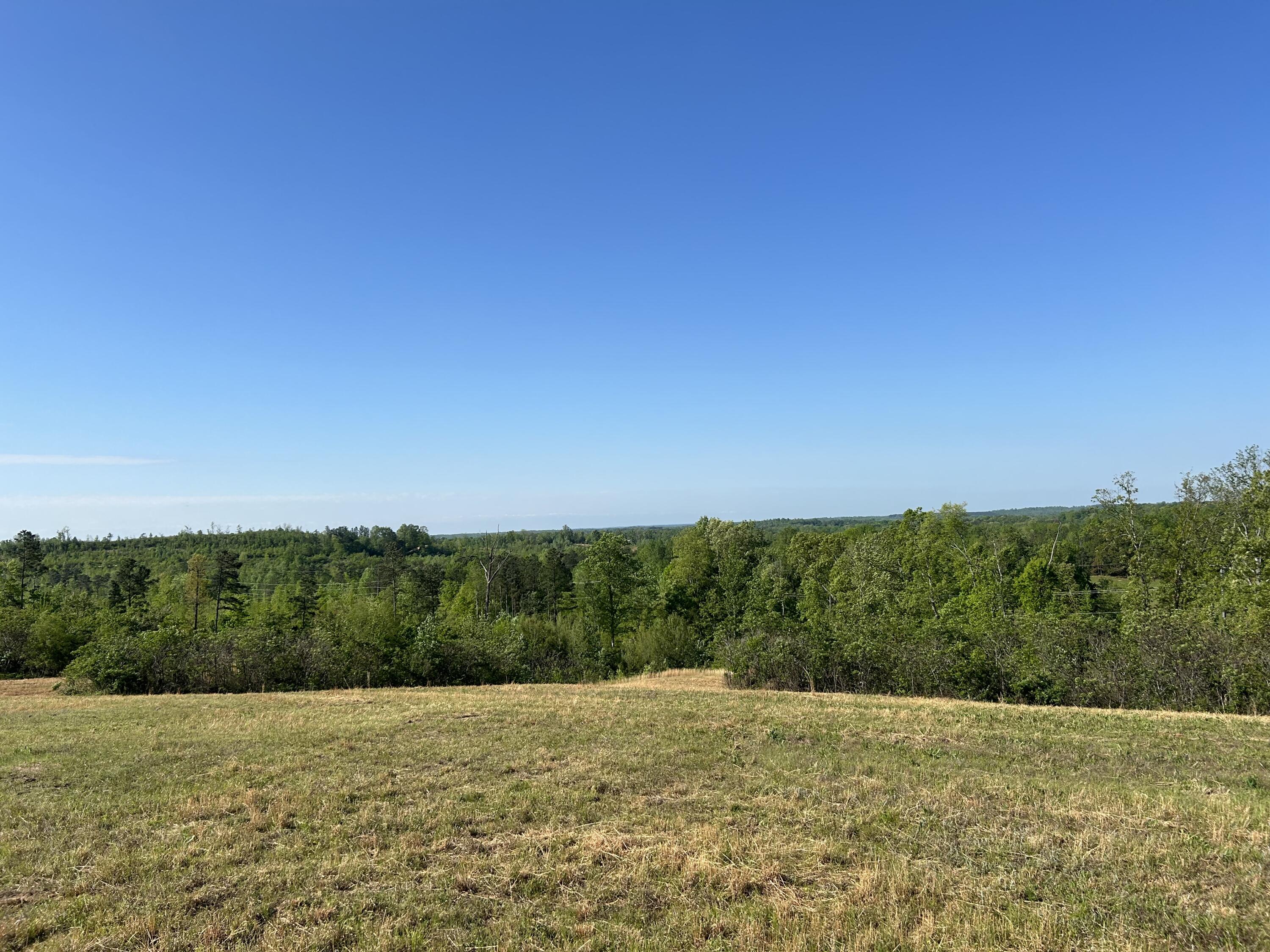 Tucker Road, Bath Springs, Tennessee image 5