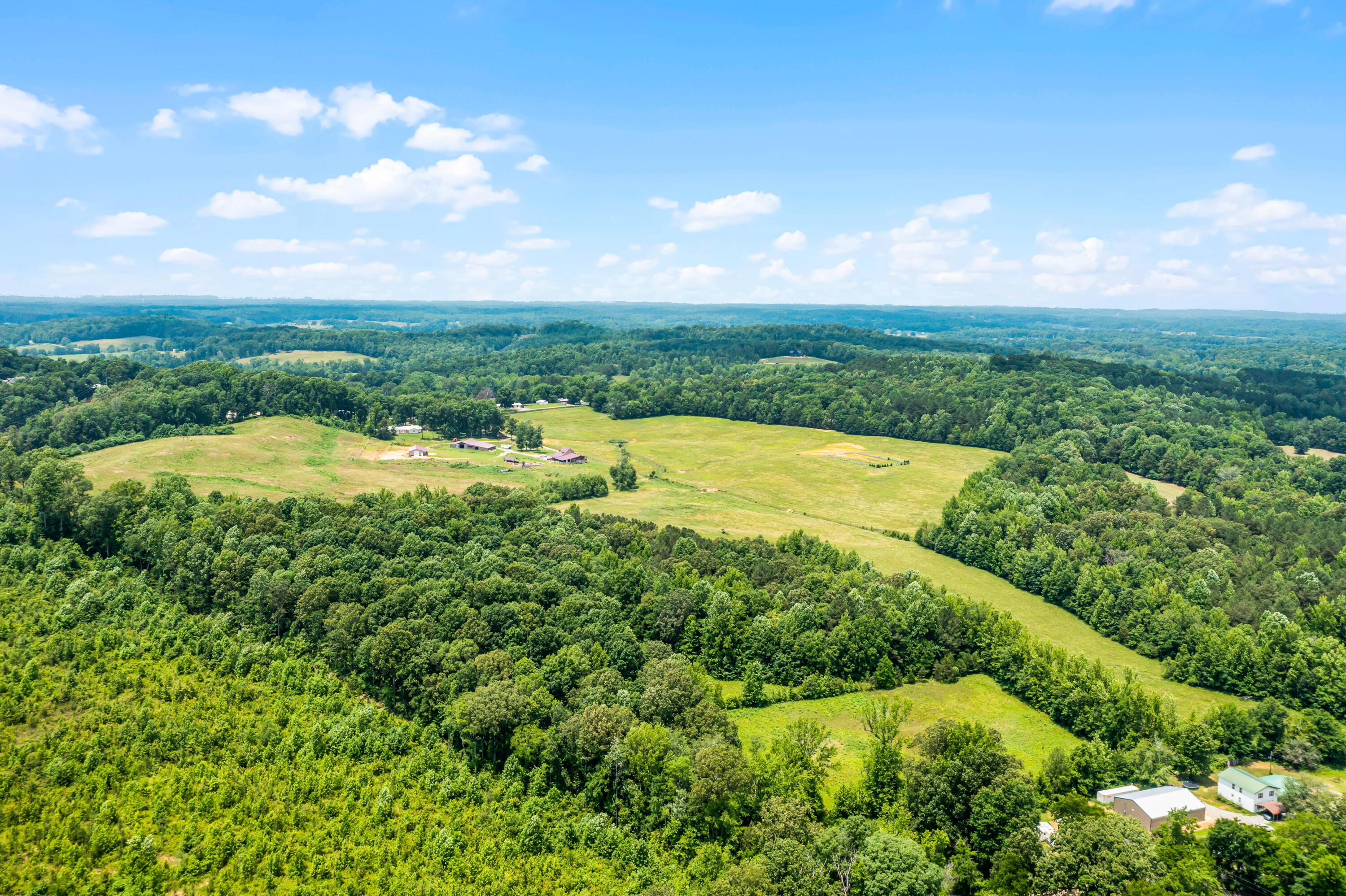 Tucker Road, Bath Springs, Tennessee image 15