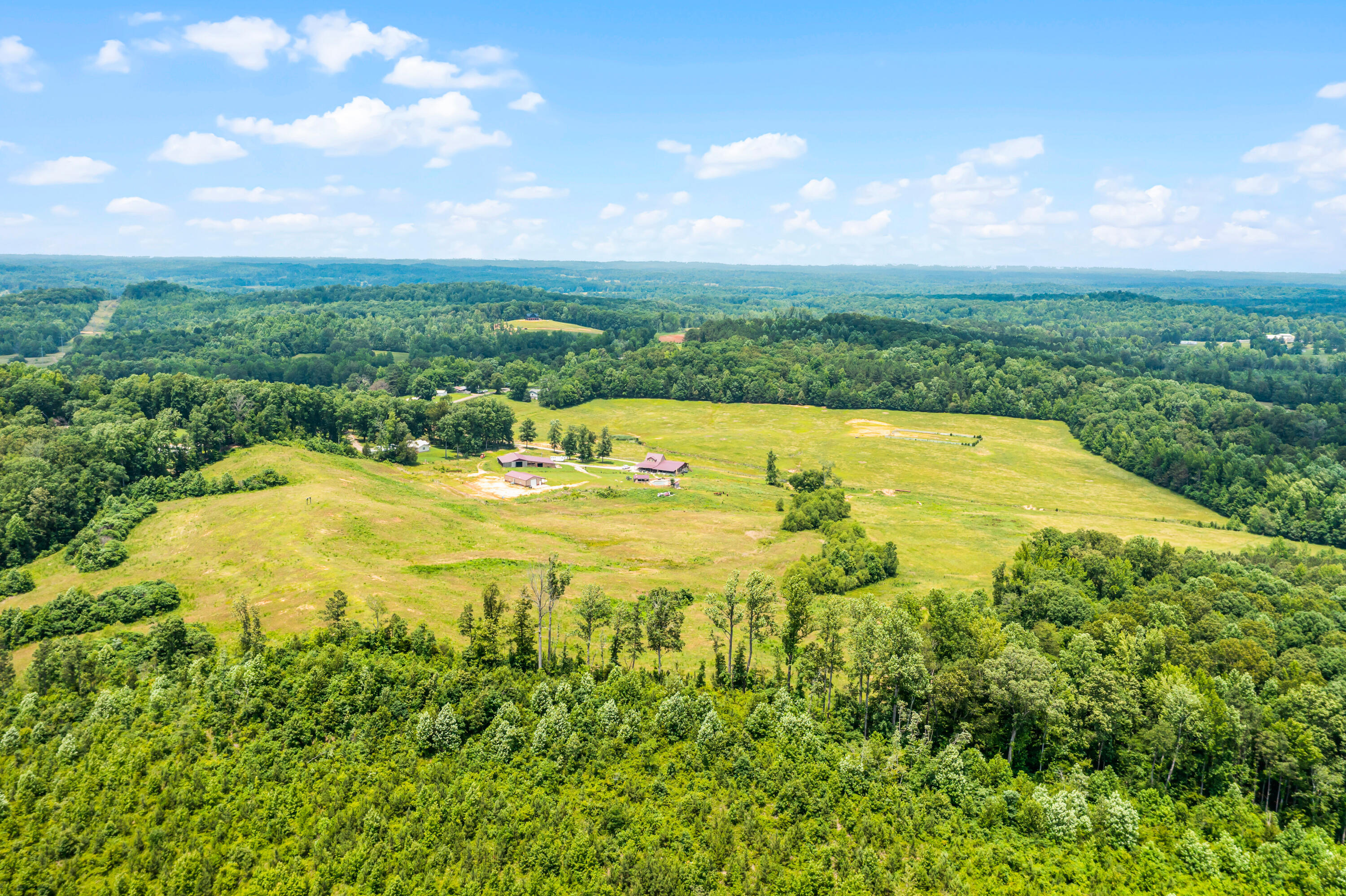 Tucker Road, Bath Springs, Tennessee image 16