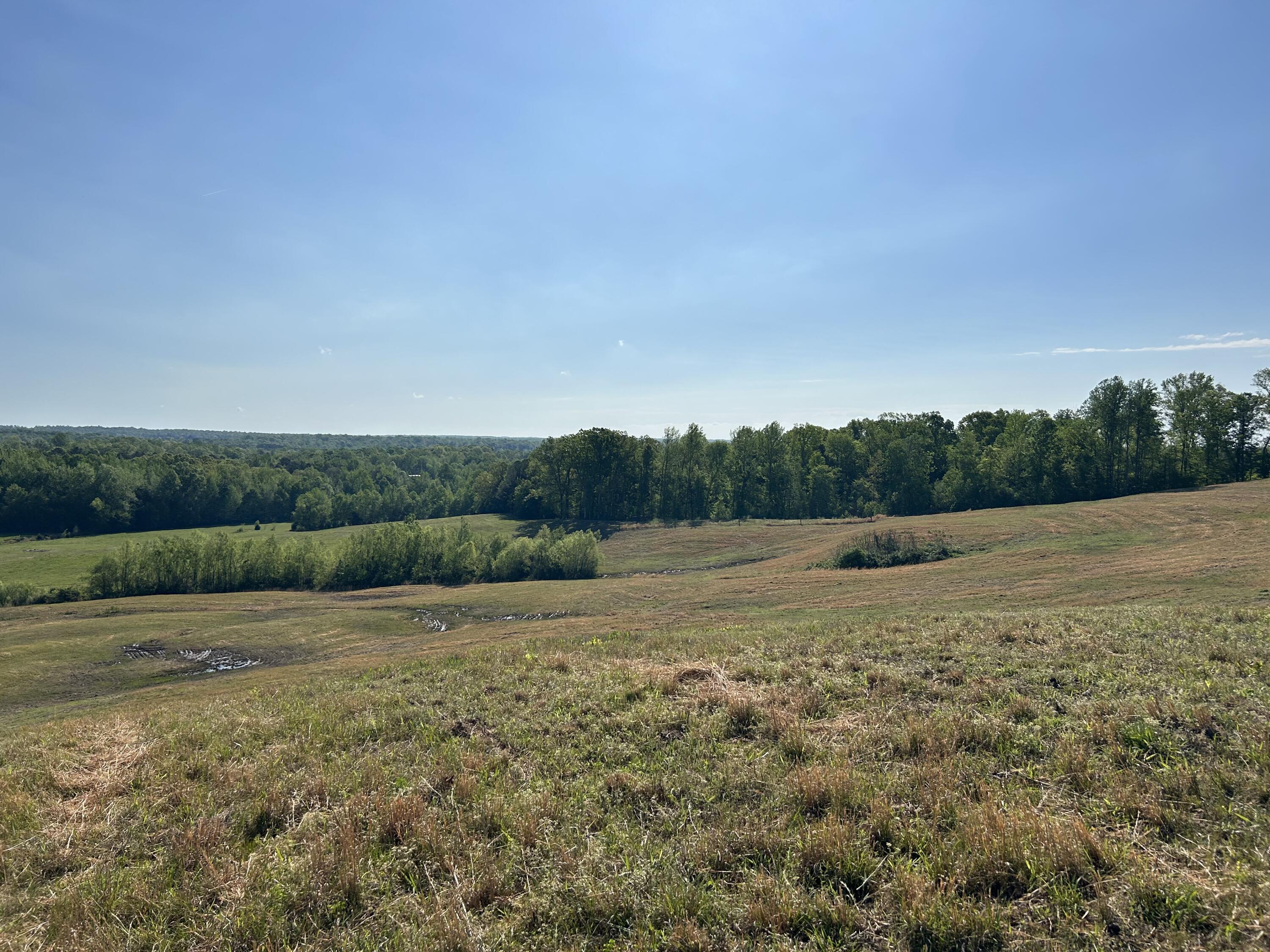 Tucker Road, Bath Springs, Tennessee image 7