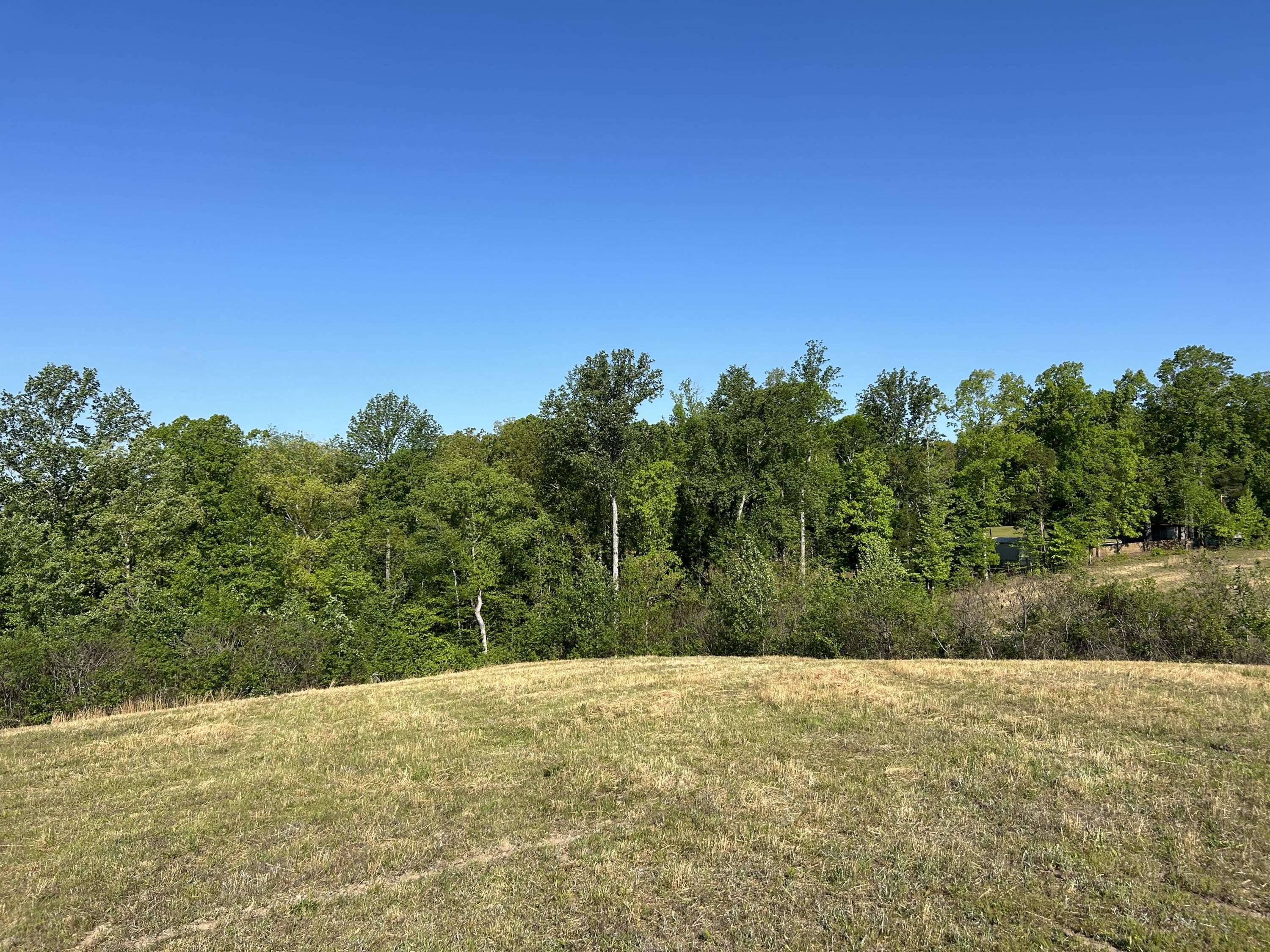 Tucker Road, Bath Springs, Tennessee image 6