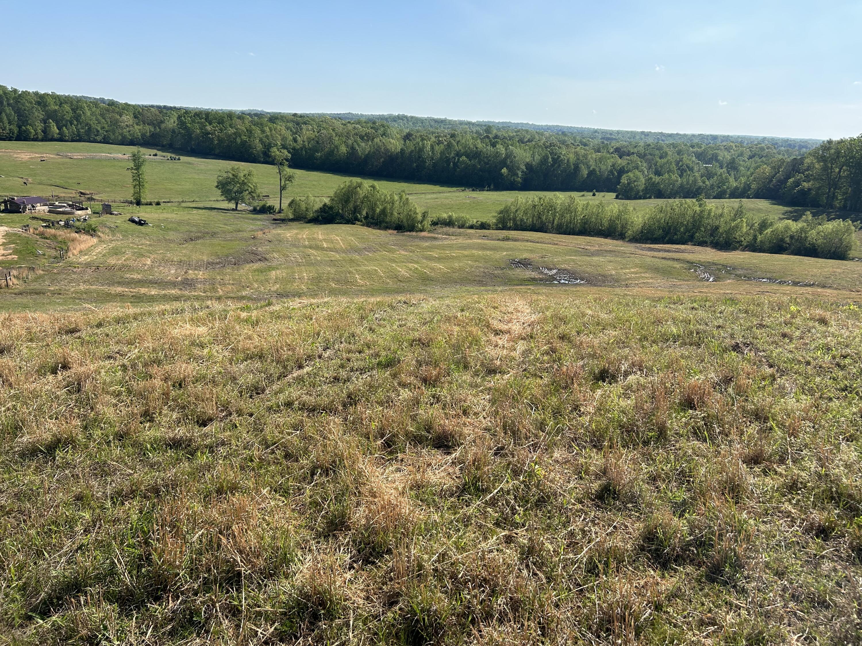 Tucker Road, Bath Springs, Tennessee image 9