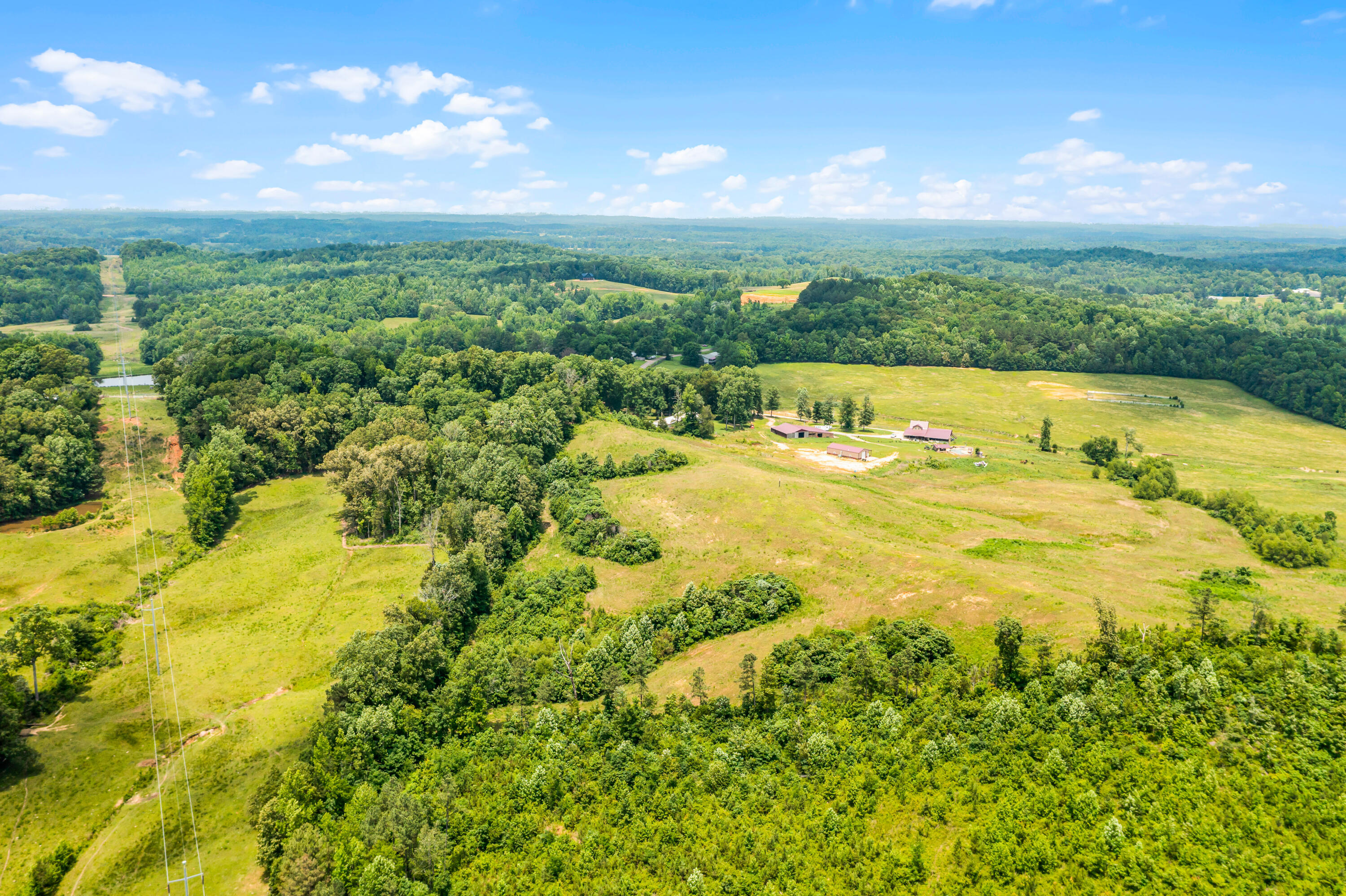 Tucker Road, Bath Springs, Tennessee image 2