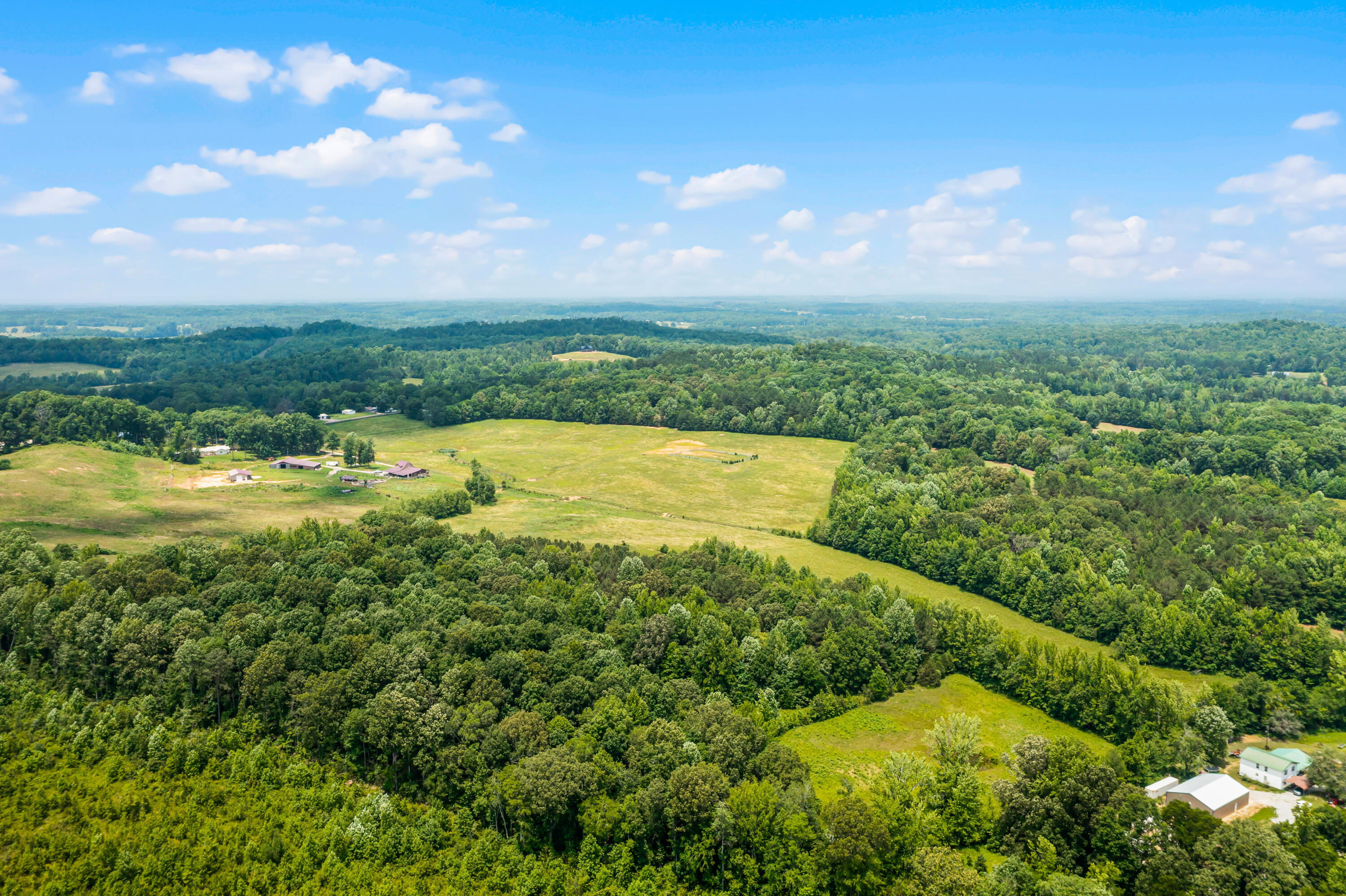 Tucker Road, Bath Springs, Tennessee image 13
