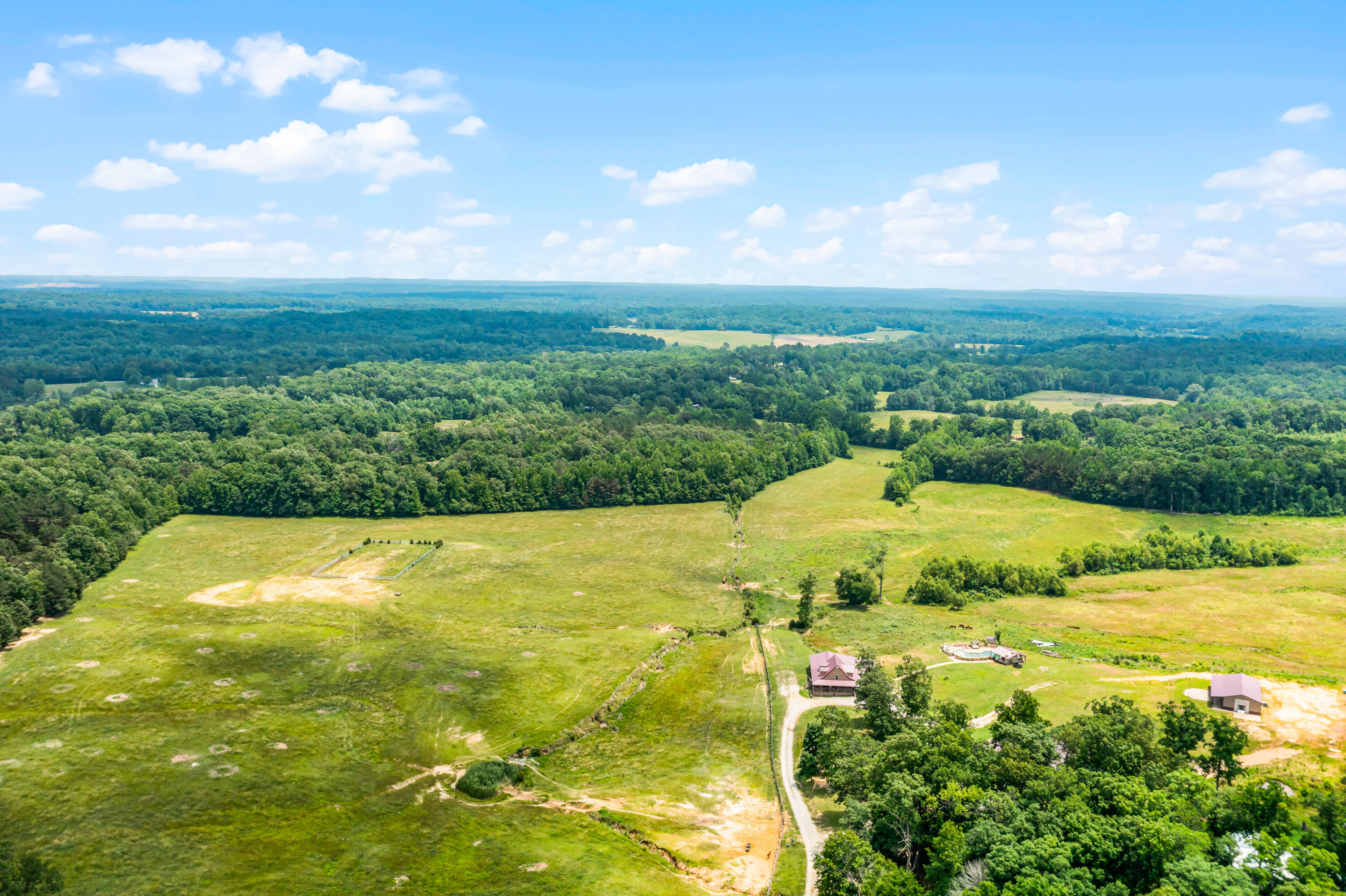Tucker Road, Bath Springs, Tennessee image 4