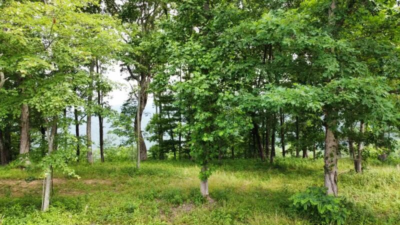 460 Volunteer Street #JF-362, Jasper, Tennessee image 15