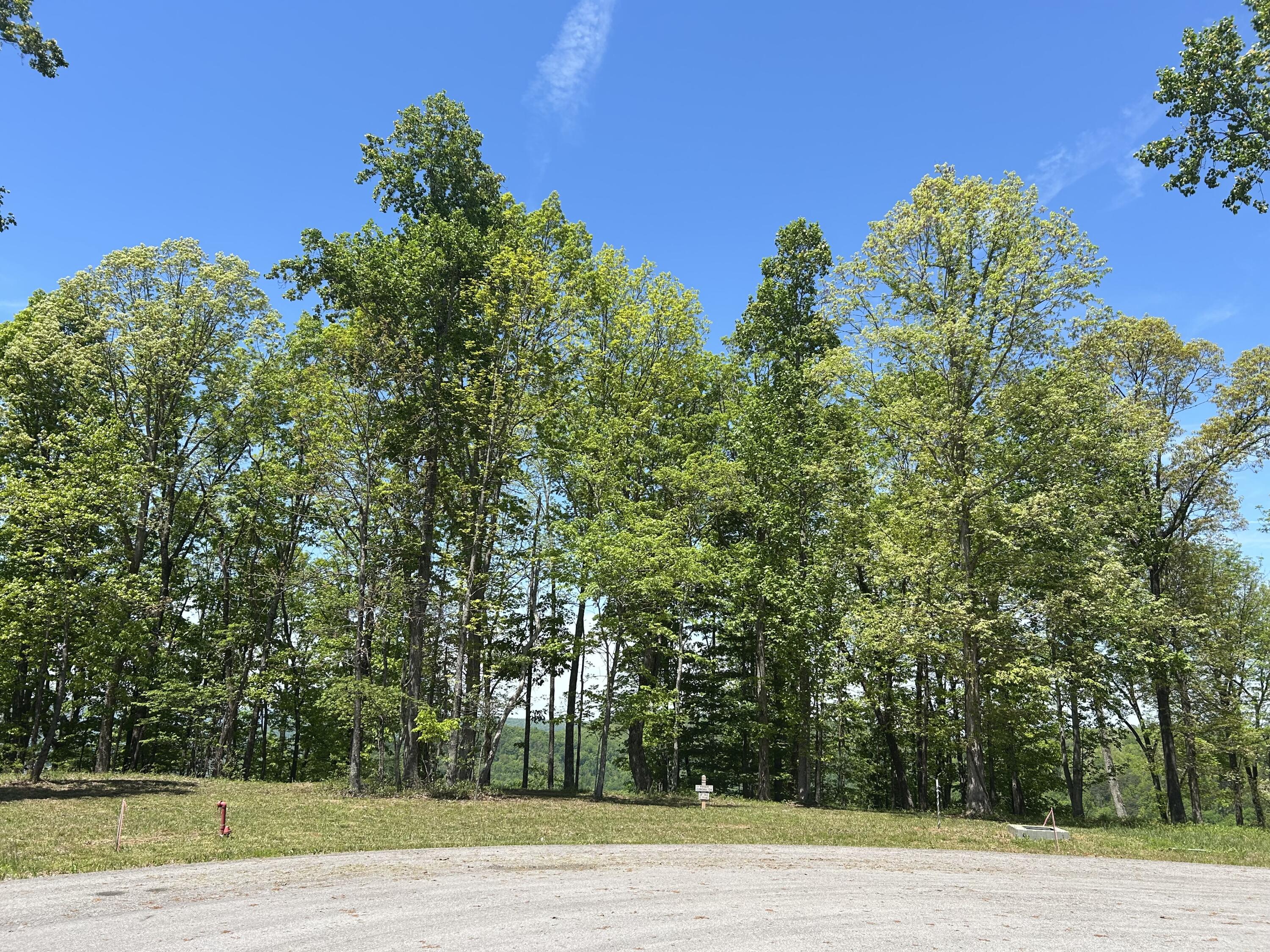 460 Volunteer Street #JF-362, Jasper, Tennessee image 1