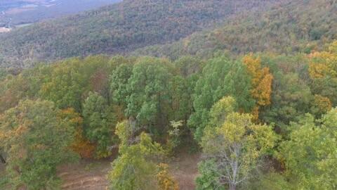 460 Volunteer Street #JF-362, Jasper, Tennessee image 17