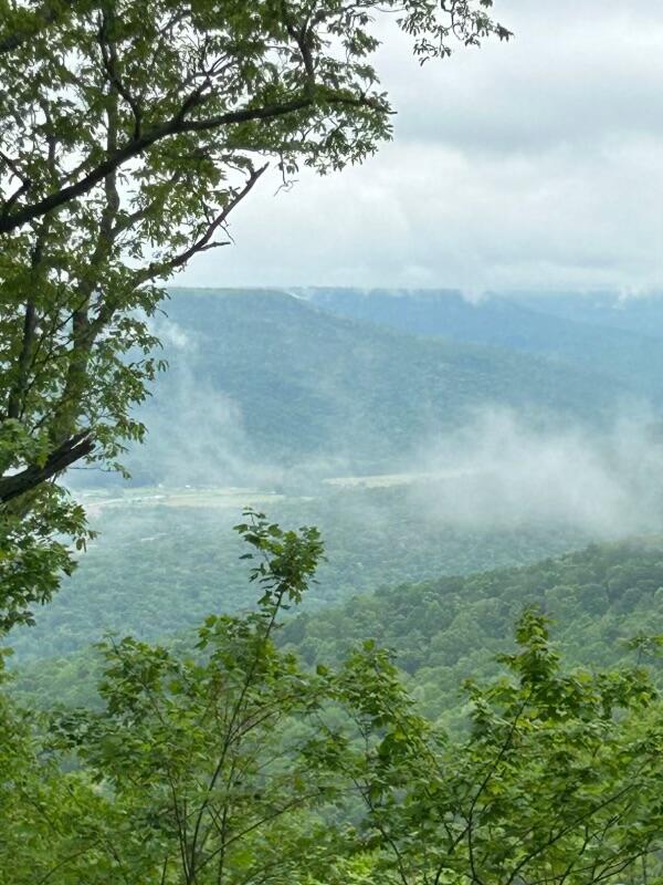 460 Volunteer Street #JF-362, Jasper, Tennessee image 10