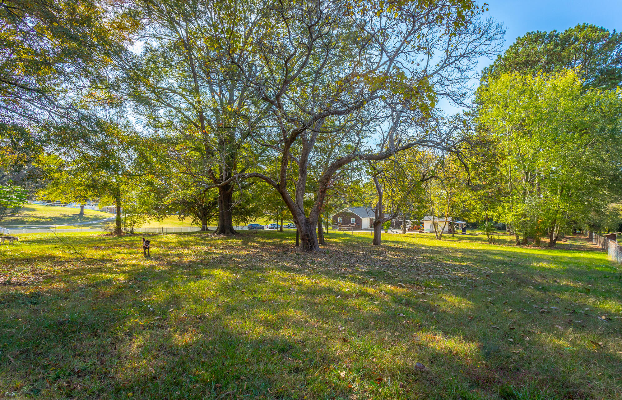 34 N Lewis Street, Summerville, Georgia image 10