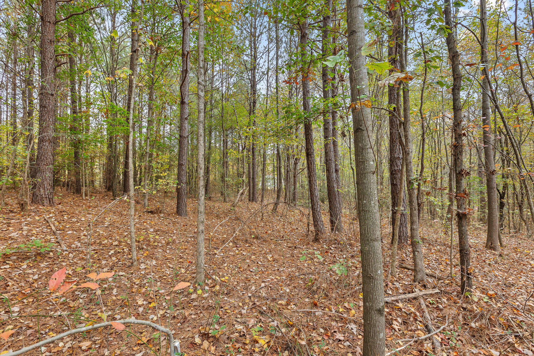 Land, Tunnel Hill, Georgia image 3