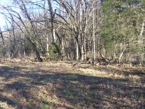 Tiny photo for 4114 Lower East Valley Road, Dunlap, TN 37327 (MLS # 1526519)