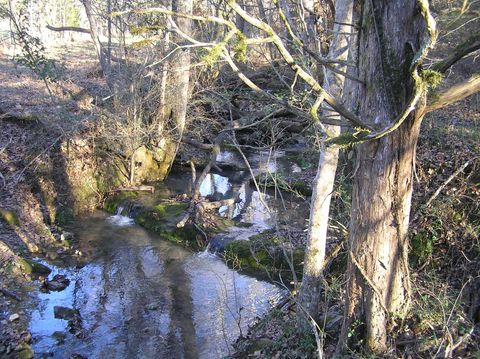 Tiny photo for 4114 Lower East Valley Road, Dunlap, TN 37327 (MLS # 1526519)