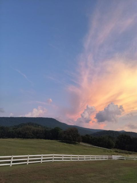 Tiny photo for 4114 Lower East Valley Road, Dunlap, TN 37327 (MLS # 1526519)