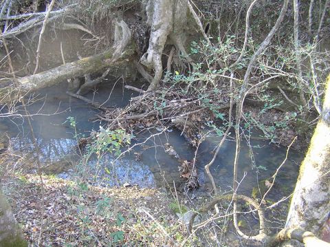 Tiny photo for 4114 Lower East Valley Road, Dunlap, TN 37327 (MLS # 1526519)