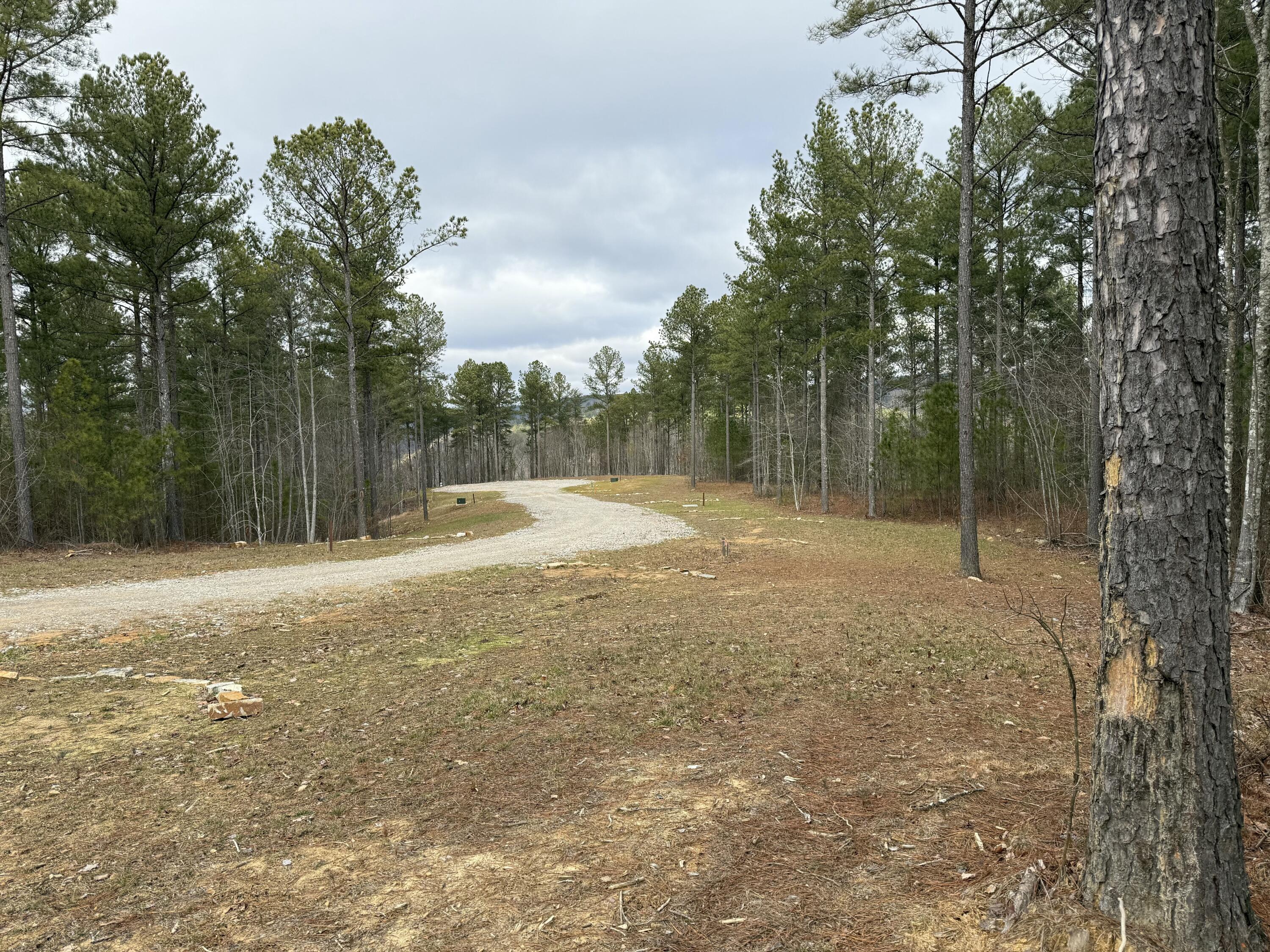 Farm Road #1051, Guild, Tennessee image 32