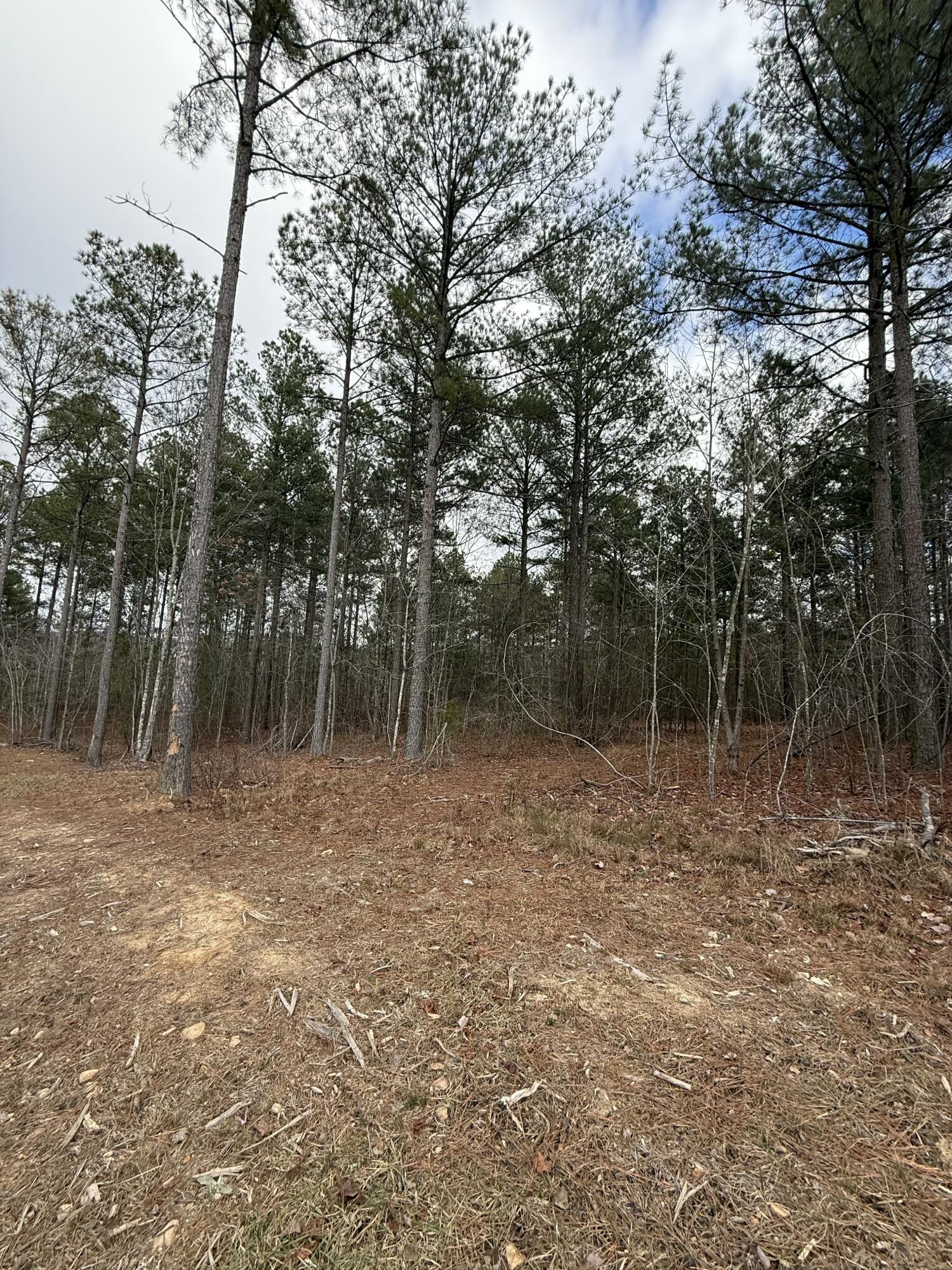 Farm Road #1051, Guild, Tennessee image 5