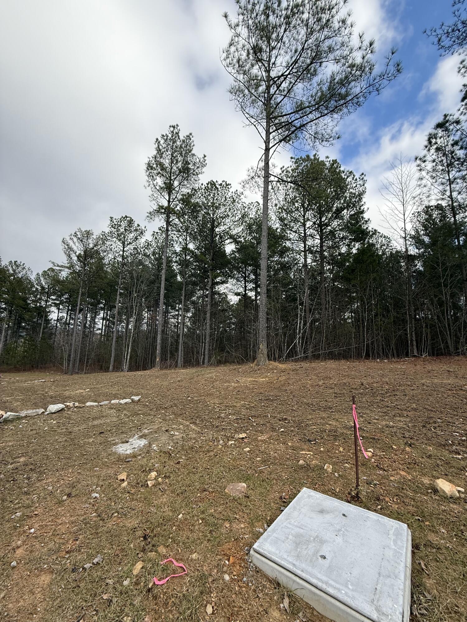 Farm Road #1051, Guild, Tennessee image 34
