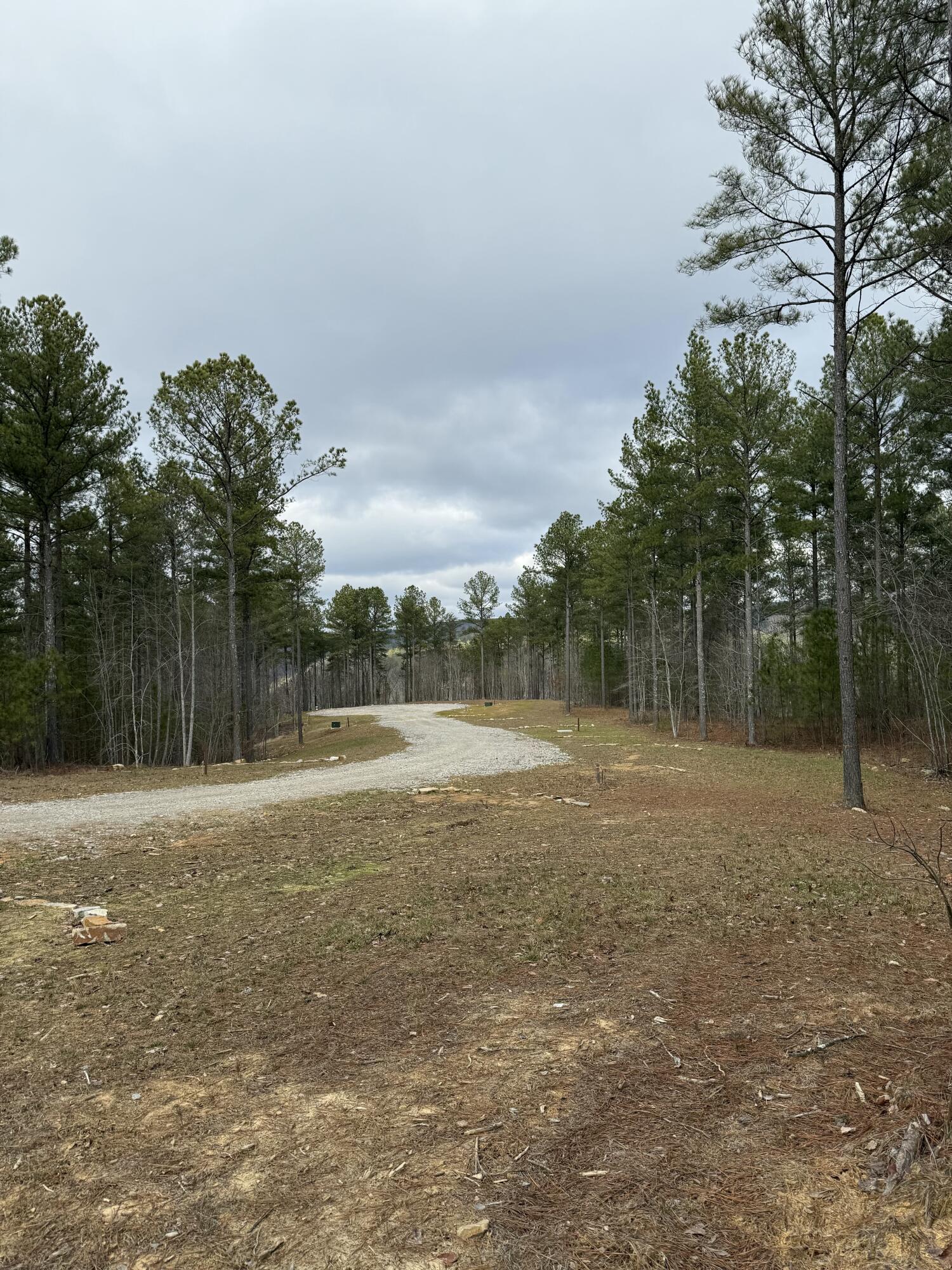 Farm Road #1051, Guild, Tennessee image 28