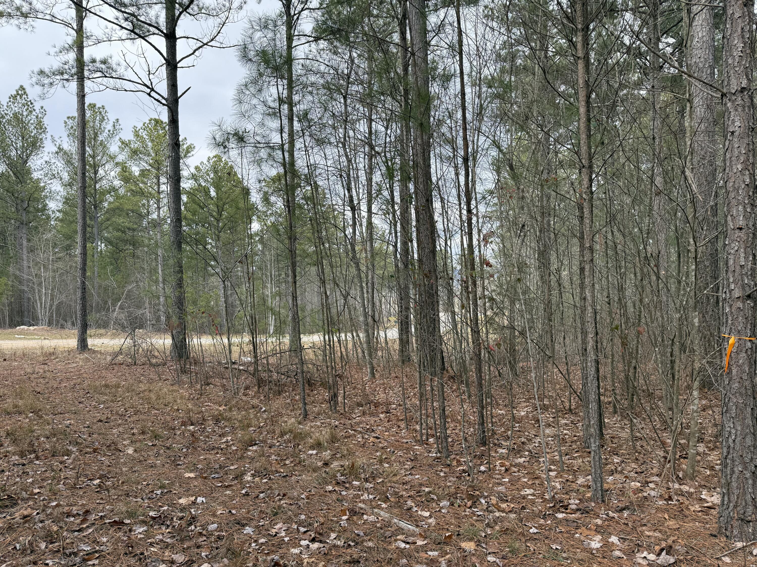 Farm Road #1051, Guild, Tennessee image 6
