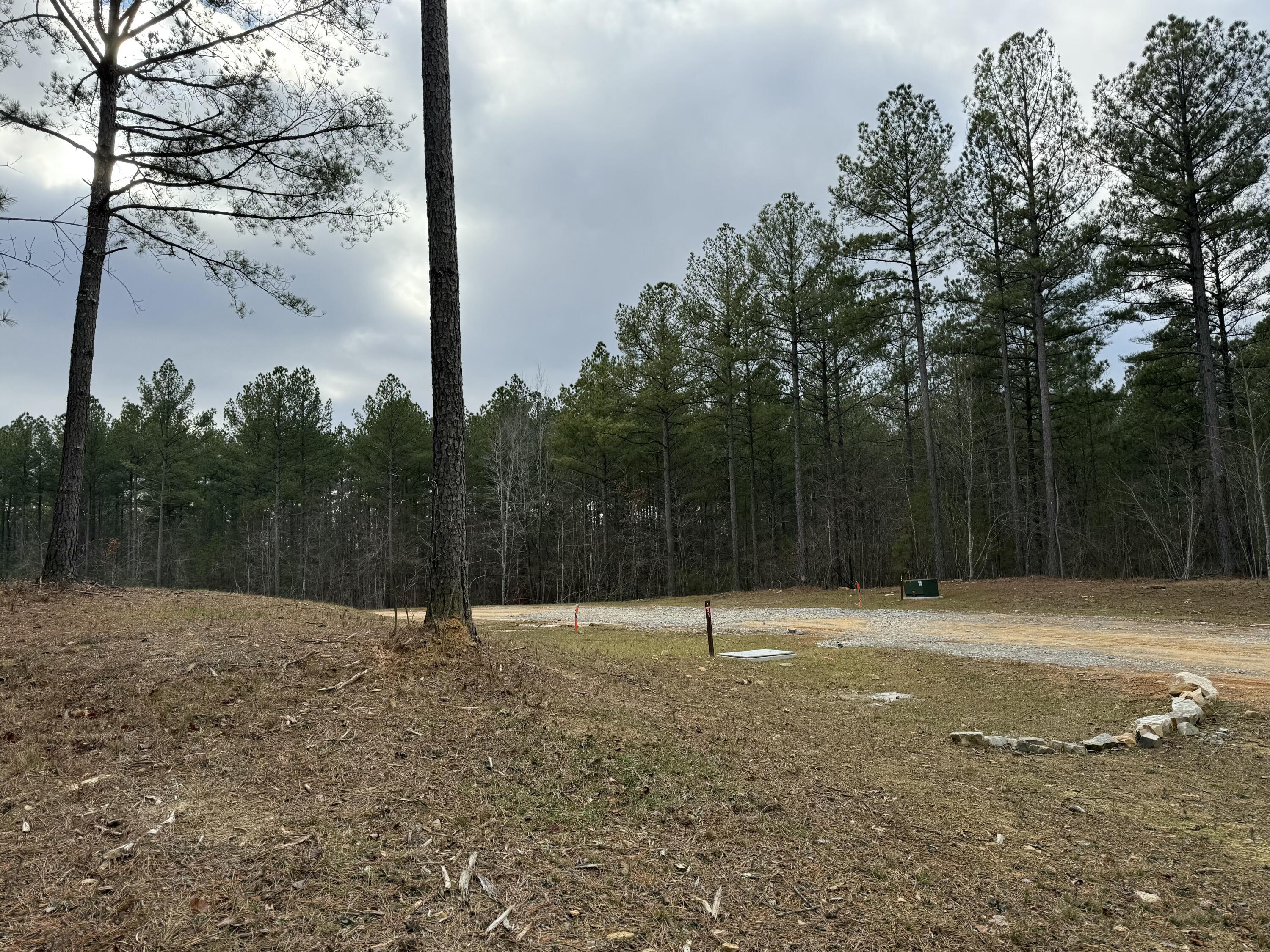 Farm Road #1051, Guild, Tennessee image 31